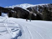 Gentle slope in the usually more challenging upper section