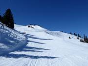 Slopes at the Samsonbahn