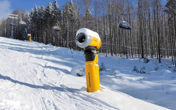 Snow reliability Freyung-Grafenau – Snow reliability Mitterdorf – Almberg