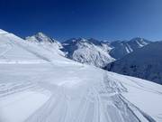 Easy slope no. 3a Wilder Mann