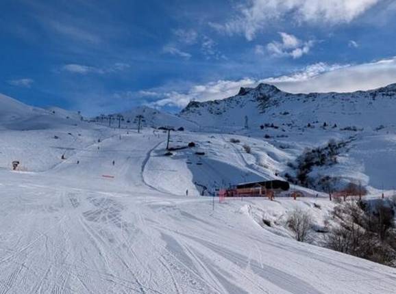 Frêne - © Michael Medek - Photo: Michael Medek