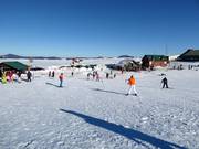 Easy slopes in the valley area