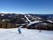 Black Kruckenabfahrt