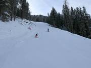 Black slope no. 14 Balbach-Ochsengarten