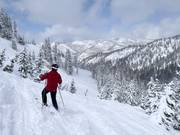 Deep powder slopes in Honeycomb Canyon