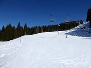 Pioverna slope No. 25