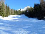 Valley run Ochsenweide