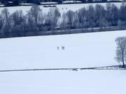 Cross-country skiing in Kirchdorf in Tirol