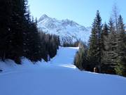 Intermediate valley run