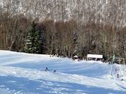 The easy slope at lift 2