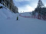 Schwandt downhill run (Jochtal)