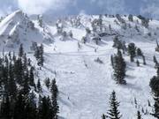Powder slopes in Honeycomb Canyon