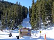 Pfaffenbühel III - T-bar