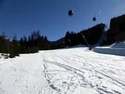 Steinbergriedel No. 11