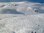 Plenty of open ski terrain