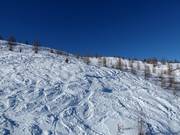 Freeride opportunities at the 6-seater chairlift Thurntaler