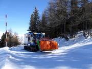 Tip for children  - Alpuschnaager 