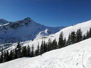 View towards Kanzelwand