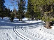 High-altitude cross-country trail at the mountain station of the 10-seater gondola