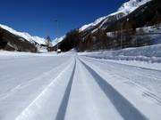 Trail in Lötschental