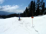 Young Guns Terrain Park TP1