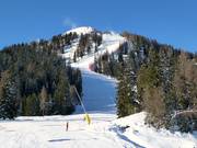Piste Pancugolo in Madonna di Campiglio