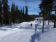 H10 Lången 1 - T-bar