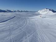 Perfectly groomed slope in the Alpe Lusia ski area