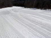 Groomed run at Whiteface Mountain