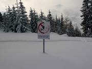 Entering the forest is prohibited