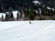 Cross-country ski trails in Balderschwang