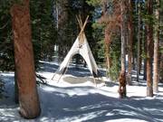 Tip for children  - Jack Rabbit Alley 