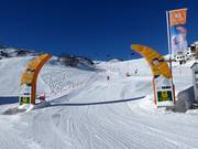 Sector 02: Family Run