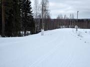 Cross-country ski trails in Rovaniemi