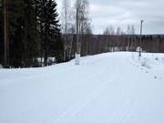 Cross-country trails in Rovaniemi