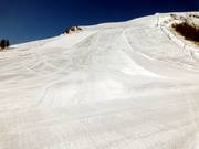 Haute Plane downhill run