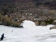 Valley run Little Nell