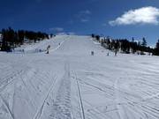 Upper section of the Västbacken run