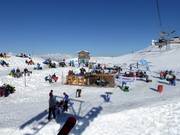 Sternenbar on the Stein