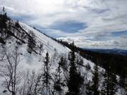 Deep powder slopes at Hovde