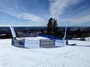 Speed skiing on the Sydbacken downhill run