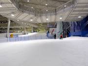 Practice slope with conveyor belt