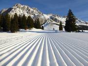 Perfectly groomed slope on the Ehrwalder Alm