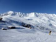 Easy slopes at Komperdell and Plansegg in Serfaus