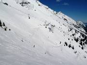 Challenging deep-snow areas below the Seegrube