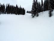 Pitch Black downhill run