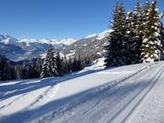 Panorama cross-country trail at Kristberg