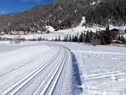 High-altitude cross-country trail in Sulden