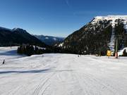 Easy slope Campanil in Pampeago