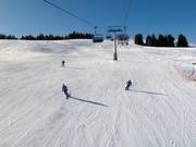 Slope at the Floralpina chairlift
